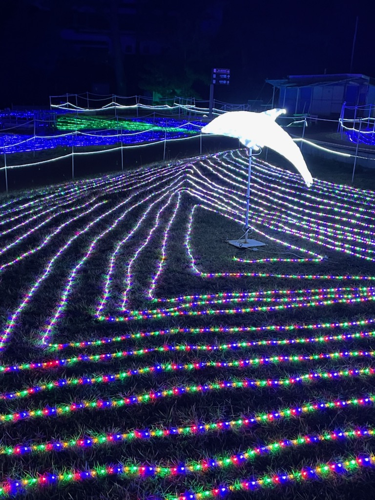 イルミ３
